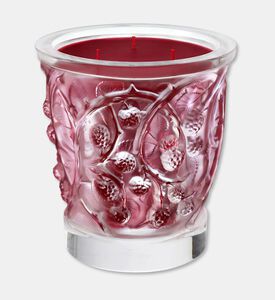 Lalique Cndle Vase 750g Epines, Packshot View