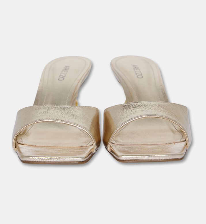 Arezzo Shoes Sabot, Packshot View