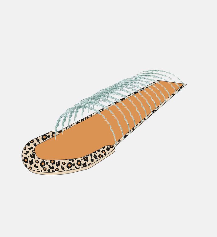 Wild Leopard Water Slide