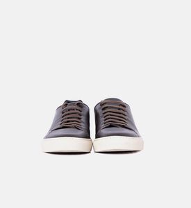 Low Top Lace-up Sneakers