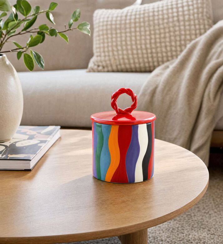 Que Rico Ceramic Graphic Pattern Lid Handle Jar, Model View