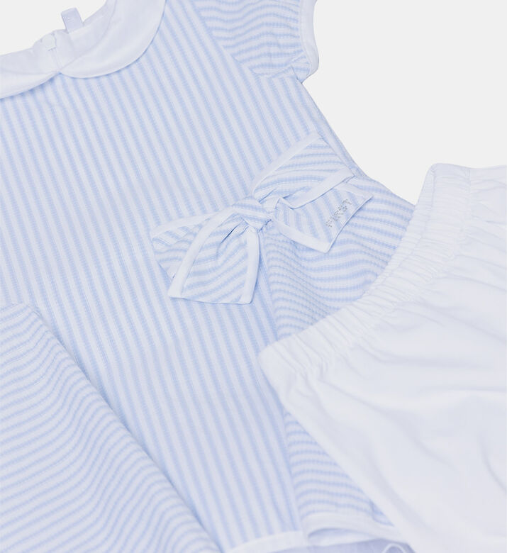 Classic Striped-print Dress