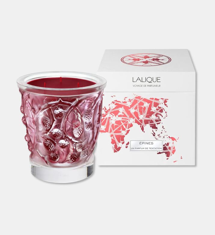 Lalique Cndle Vase 750g Epines, Packshot View