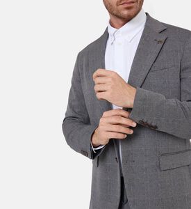 Pal Zileri Suit 2 Pcs, Model View