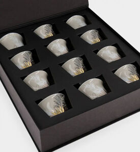 Silsal Naseem Arabic Coffee Cups S12, Packshot View