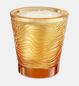 Lalique Candle Vase 750g Jungle, Packshot View