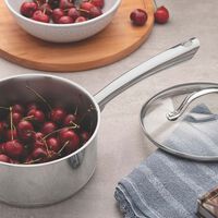 Stainless Steel Saucepan - 16 Cm