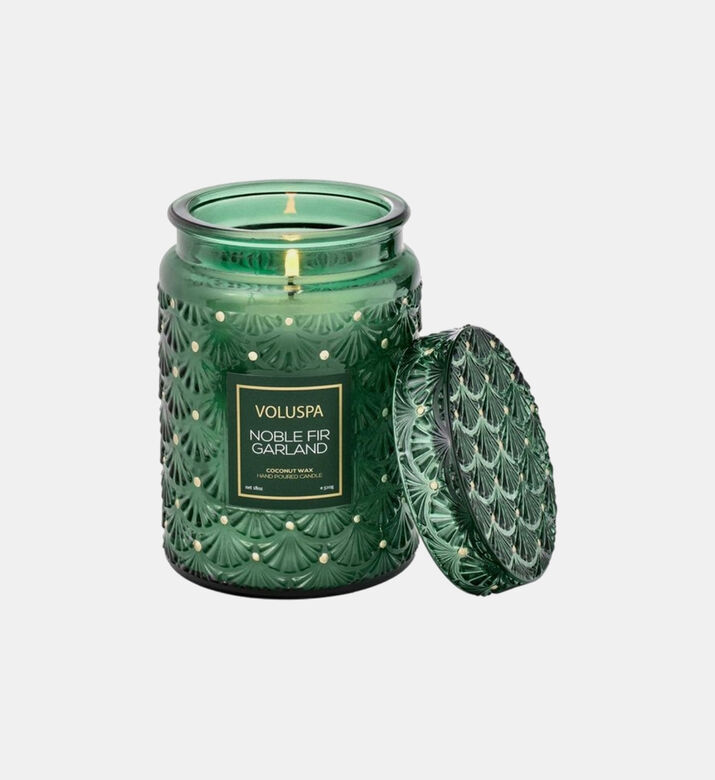 جرة جابونيكا نوبل فير غارلاند