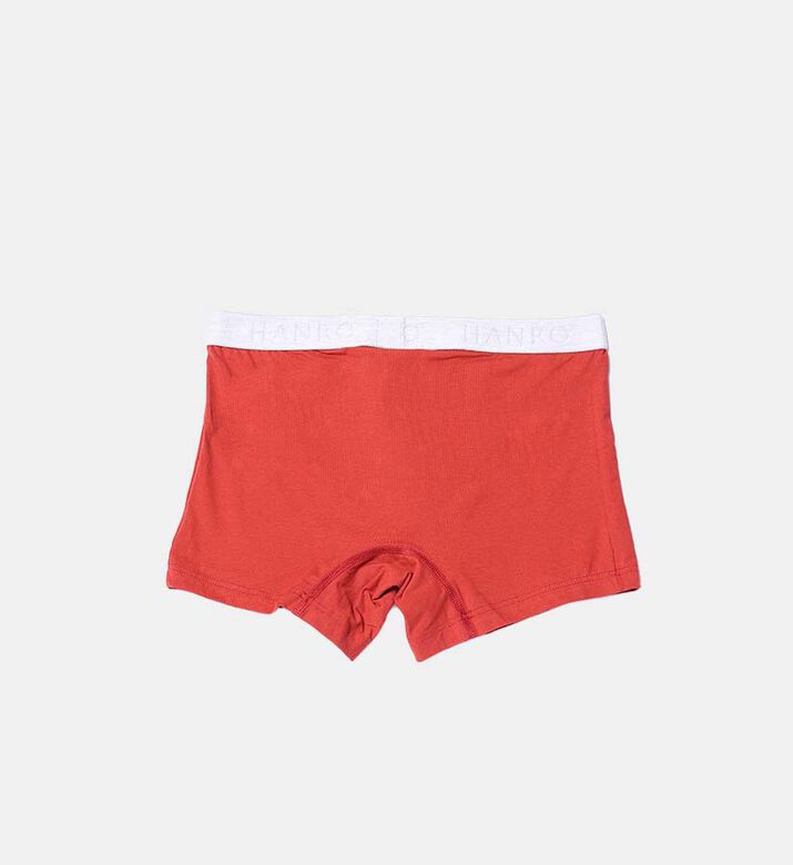 Essentials 2-pack Long Boxers Set
