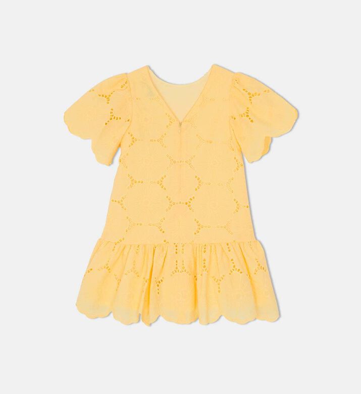 English Embroidery Flared Mini Dress