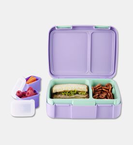Skiphop Seashell Spark Style Bento Box, Packshot View