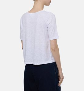 Ba and Sh Ts Vina, Model View