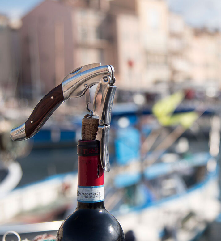 Legnoart Ghemme Stainless Steel Corkscrew, Packshot View