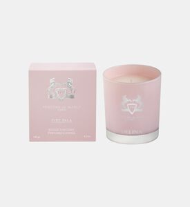 شمعة ديلينا هوم المعطرة 180 جم