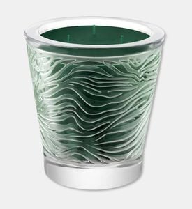 Lalique Candle Vase 750g Taiga, Packshot View
