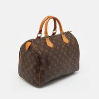 Louis Vuitton Monogram Canvas 30 Speedy Bag Preowned