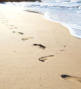 ماء تواليت ريبليكا بيتش ووك 100 مل