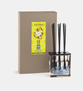 Triptyque Scented Bouquet Triptyque Scented Bouquet