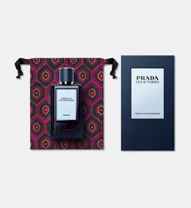 Prada Cargo De Nuit Eau De Parfum, Packshot View