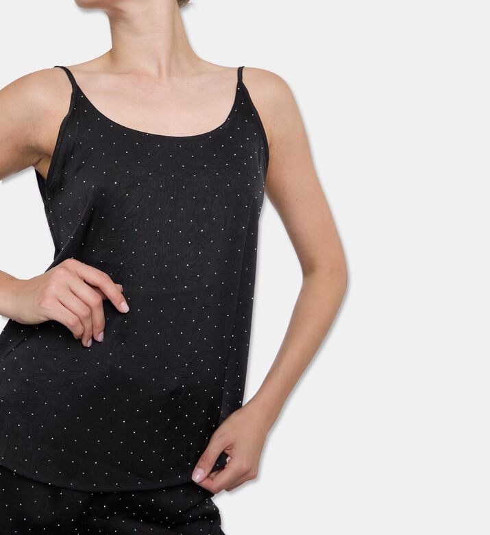 Ba and Sh Top Digue, Model View