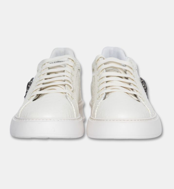 Roberto Cavalli Sports Shoes, Packshot View