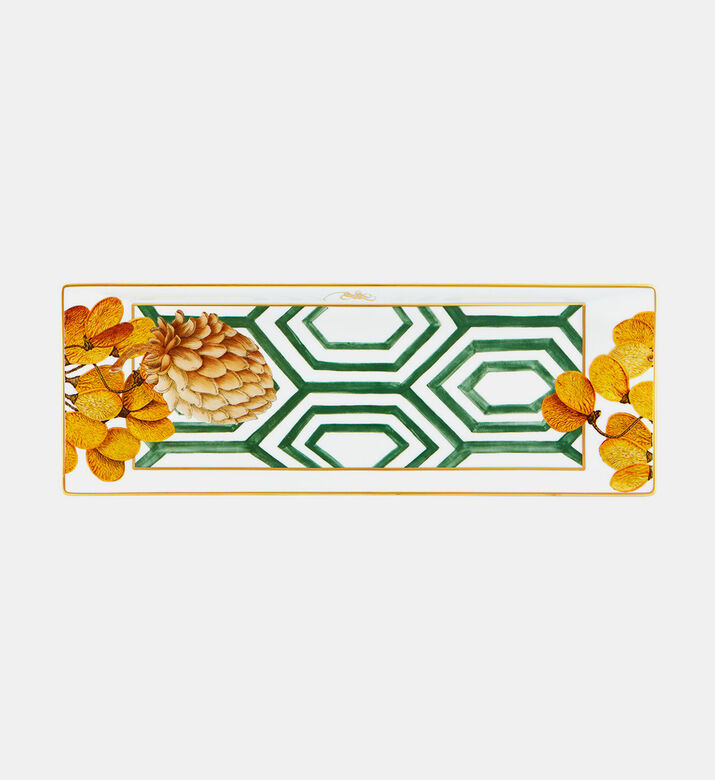 صينية تارت أمازونيا