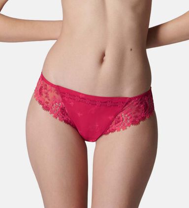 Wish Embroidered Bikini Brief