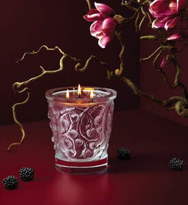 Lalique Cndle Vase 750g Epines, Packshot View