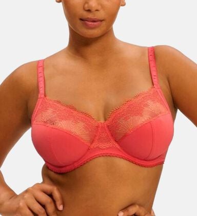 Full Cup Embroidered Support Bra