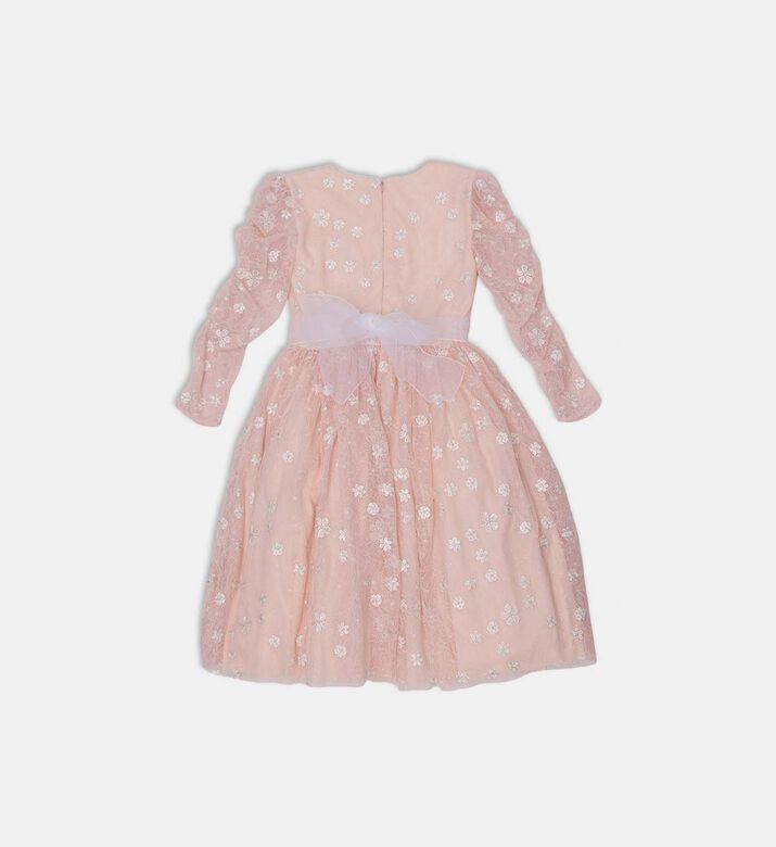 Sparkling Floral Lace Dress