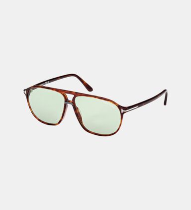 Acetate Bold Frame Sunglasses 61