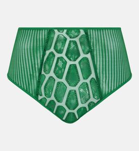 Geometric Pattern Brief