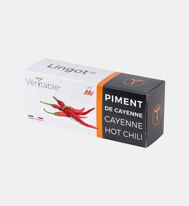 ثوم معمر عضوي من الأعشاب العطرية الأساسية