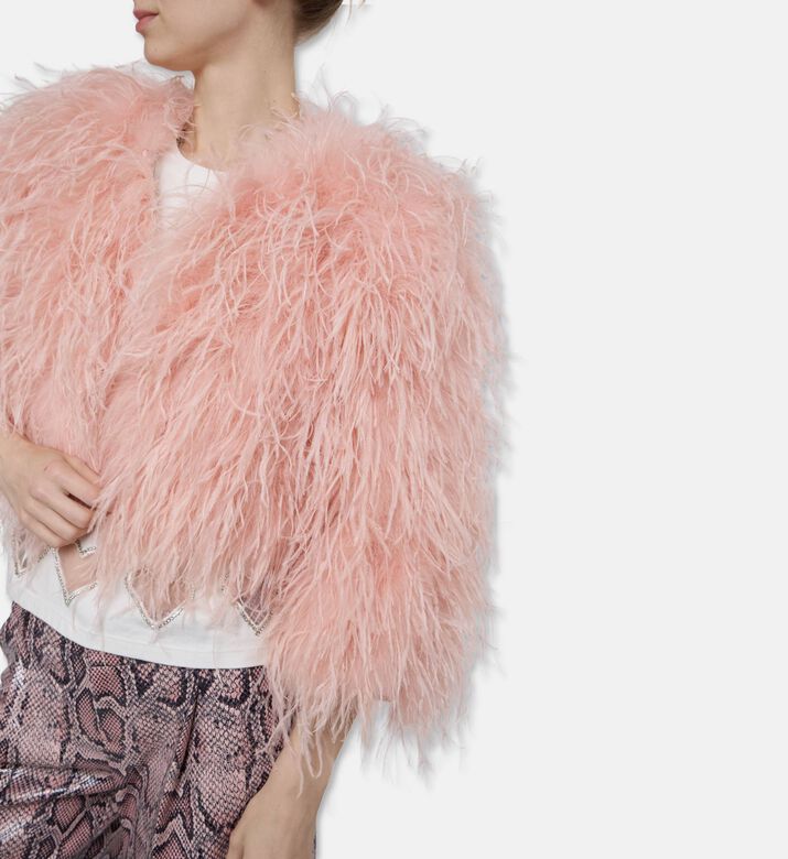 Alice and Olivia Jack Kidman, Model View