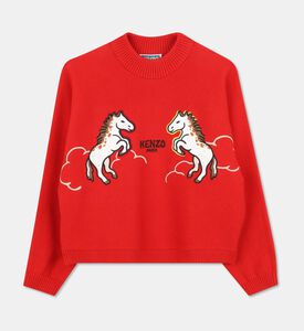 Kenzo Pullover, Packshot View