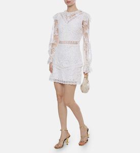 فستان دانتيل شفاف بأكمام طويلة وأساور مكشكشة