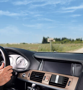 Cedre Scented Car Diffuser