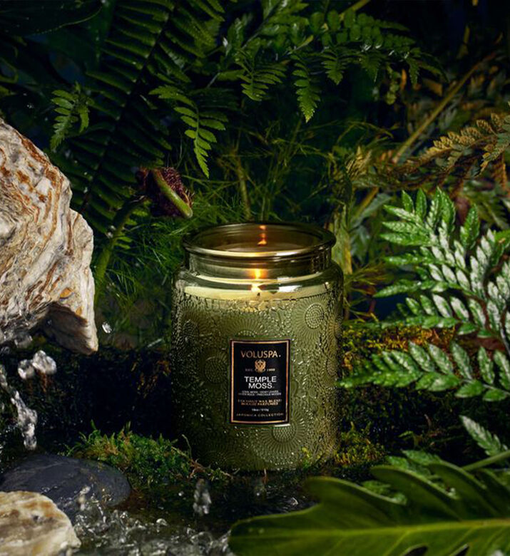 Japonica Temple Moss Luxe Jar