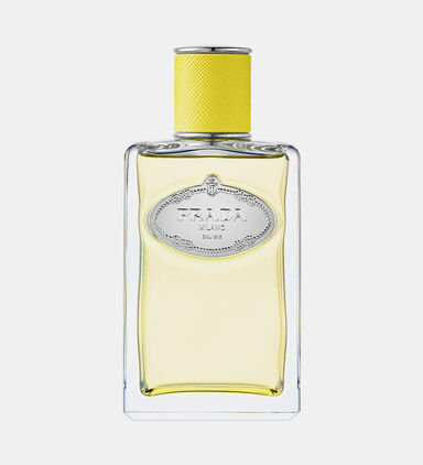 Infusion Ylang Eau De Parfum 100 Ml