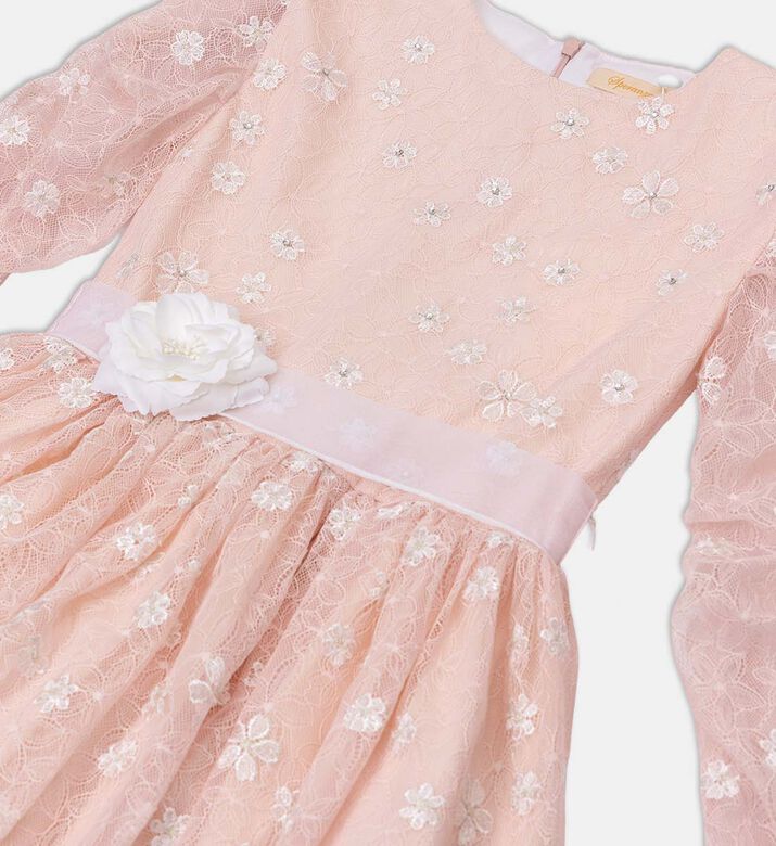 Sparkling Floral Lace Dress