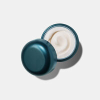 The New Rejuvenating Night Cream