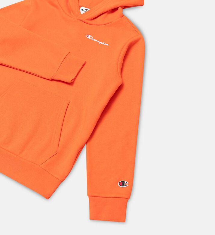 سويت شيرت بغطاء رأس بطبعة شعار سويت شيرت بغطاء رأس بطبعة شعار