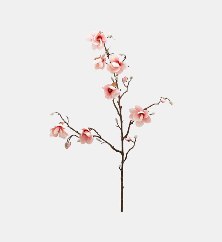 Edg Stellate Magnolia Branch, Pink, Packshot View