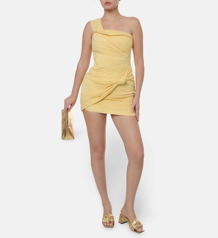 Cult Gaia Off-shoulder Sleeveless Mini Dress, Model View