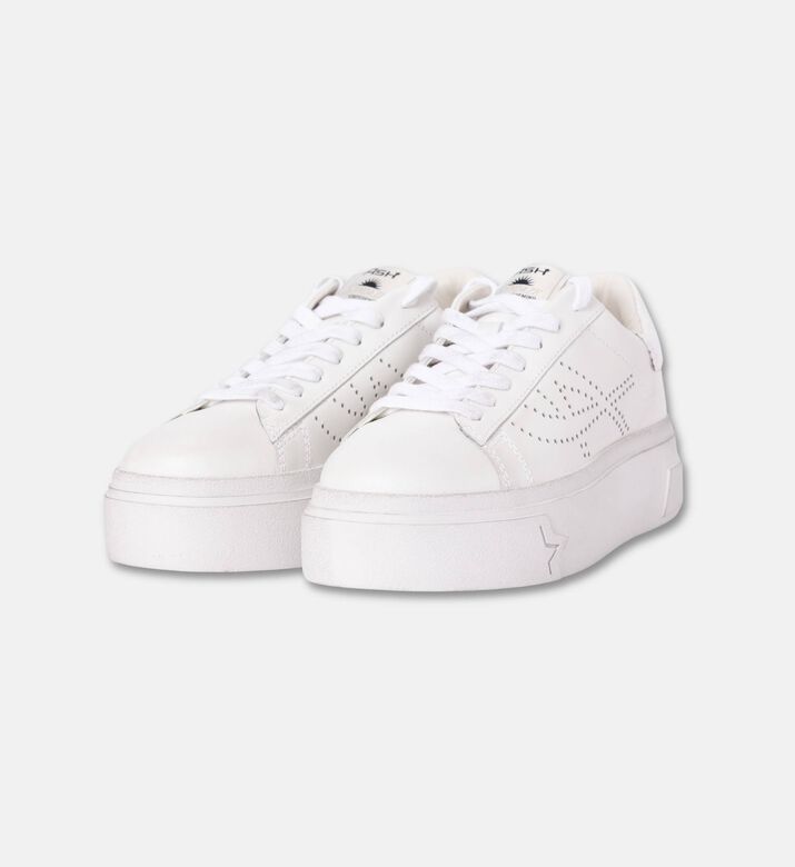 ASH Santana Leather Perforated-logo Sneakers, Packshot View