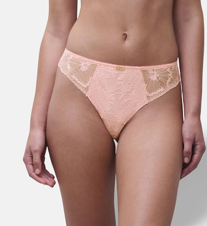 Chantelle Tanga, Model View