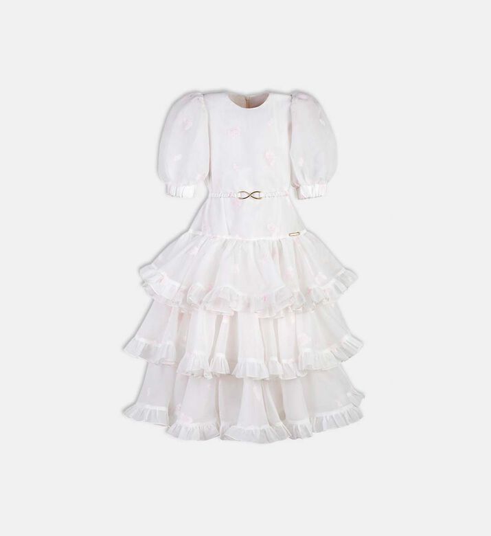 Velvet Touch Puffy Transparent Sleeves Dress