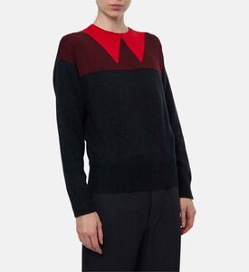 Plan C Two-tone Long-sleeve Sweater, Model View