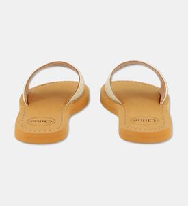 Chloe Shoes, Packshot View