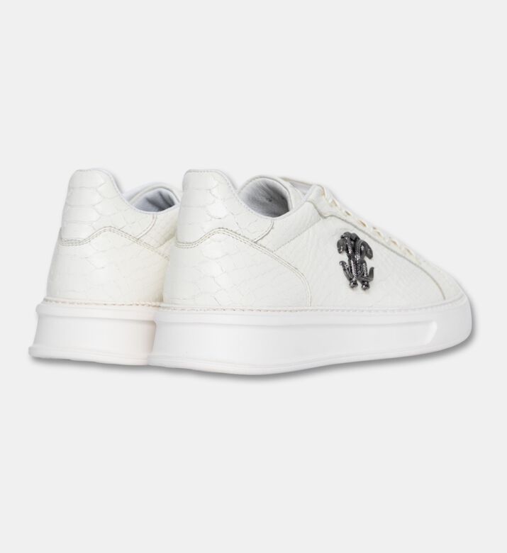 Roberto Cavalli Sports Shoes, Packshot View